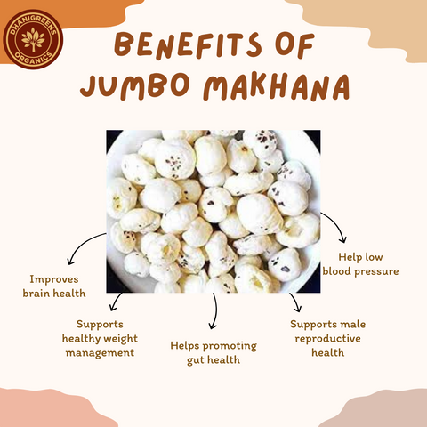 JUMBO MAKHANA
